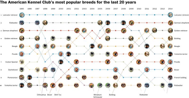 Featured image of post バンプ・チャート（Bump Chart）