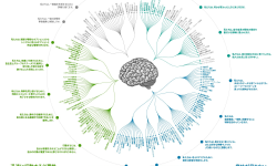 Featured image of post 「Cognitive Bias Codex」で眺める人間の思考のクセ