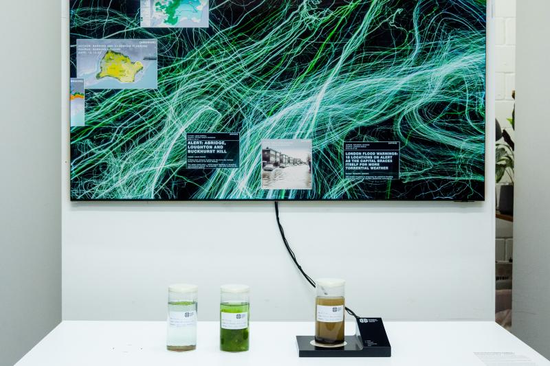 Featured image of post 川の健康を、感覚可能にする——Superflux『The Ecological Intelligence Agency』