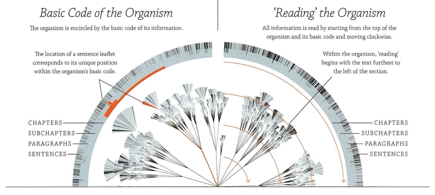 「文学的有機体」としての構造