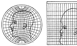 Featured image of post 顔でわかる地図投影のゆがみ：Projection Face