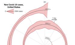 Featured image of post NYT「Covid-19スパイラル可視化」をめぐる議論と代替案