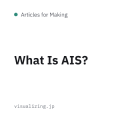 What Is AIS?