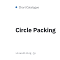 Circle Packing